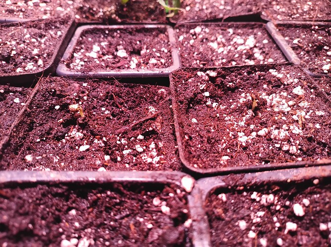 Growreport Bild 14