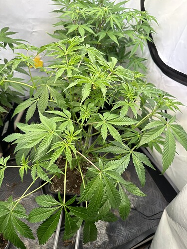 Growreport Bild 11