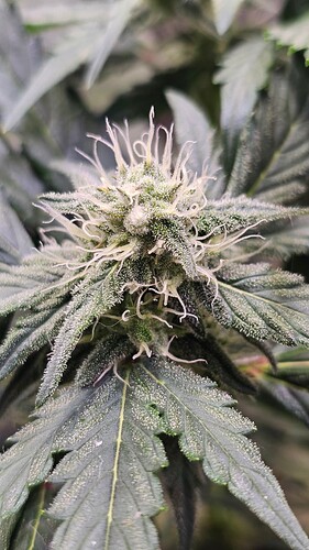 Growreport Bild 12