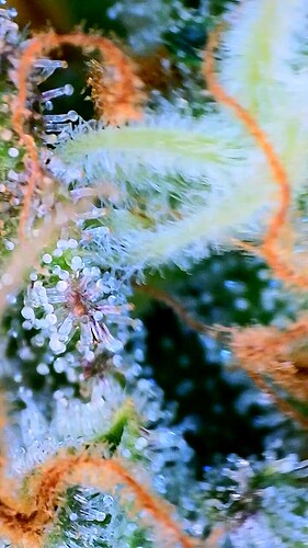 Growreport Bild 21