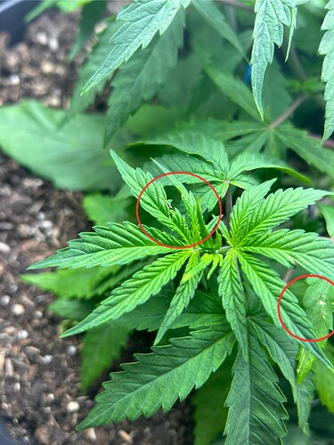Growreport Bild 9
