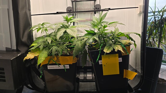 Growreport Bild 9