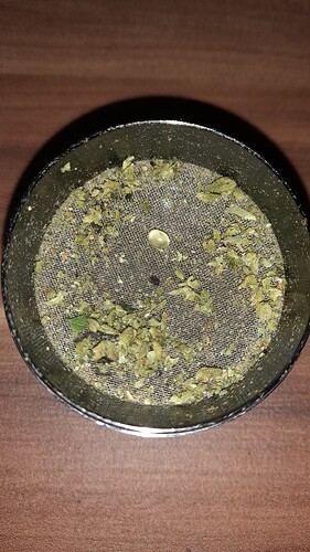 Growreport Bild 13