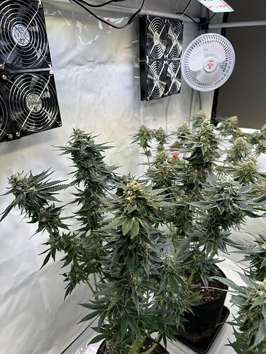 Growreport Bild 21