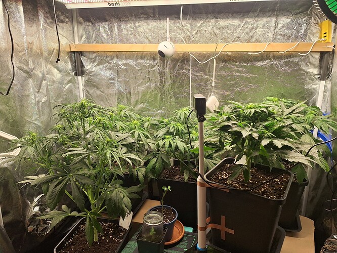 Growreport Bild 1