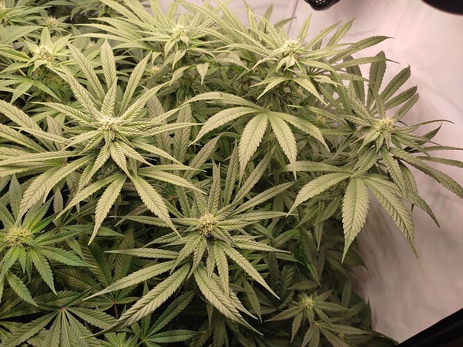 Growreport Bild 24