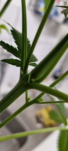 Growreport Bild 11