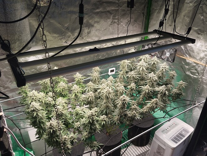 Growreport Bild 17