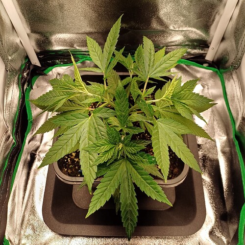 Growreport Bild 18