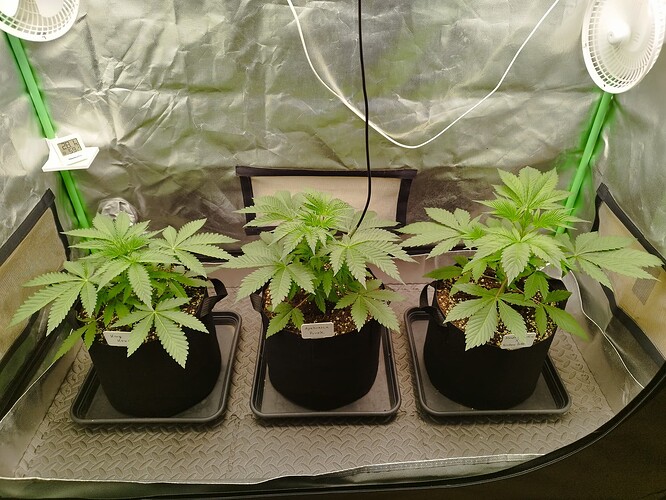 Growreport Bild 1
