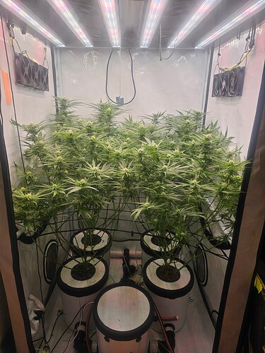 Growreport Bild 5