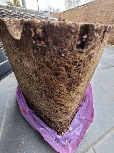 Growreport Bild 2