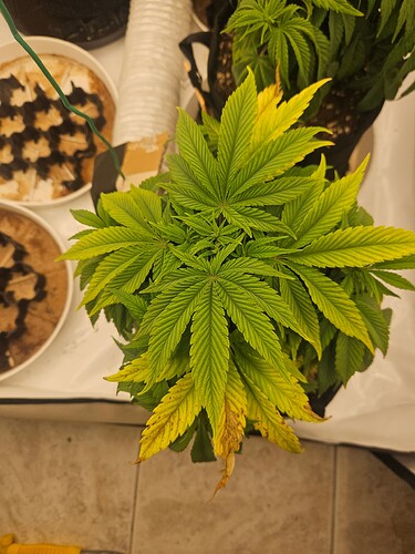 Growreport Bild 19