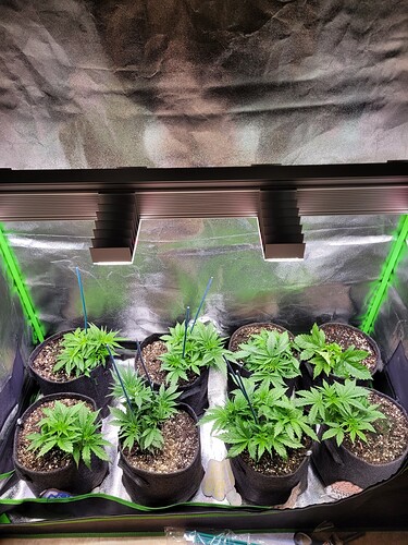 Growreport Bild 24