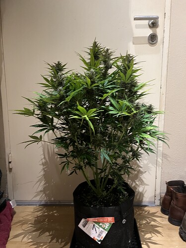 Growreport Bild 14