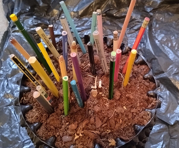 Growreport Bild 16