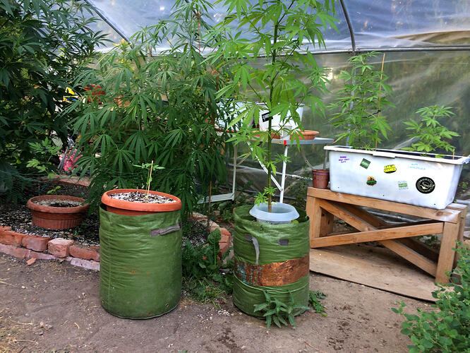 Grow26_0814_12