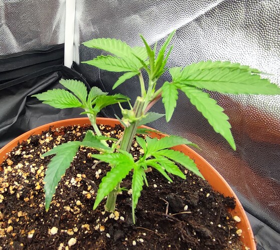 Growreport Bild 19