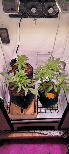 Growreport Bild 14
