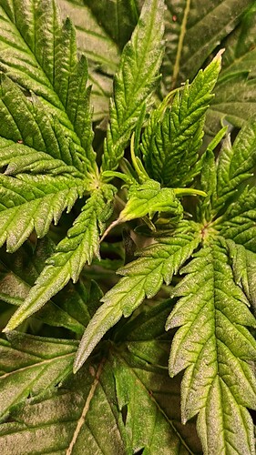 Growreport Bild 15