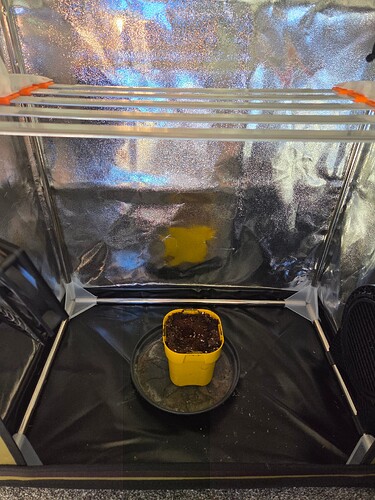 Growreport Bild 7