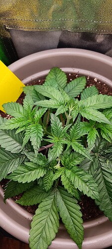 Growreport Bild 8