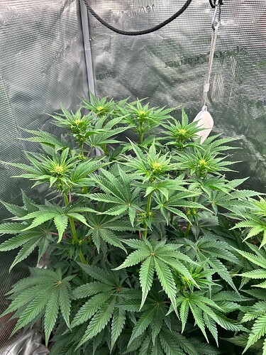 Growreport Bild 24