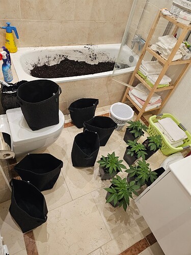 Growreport Bild 7
