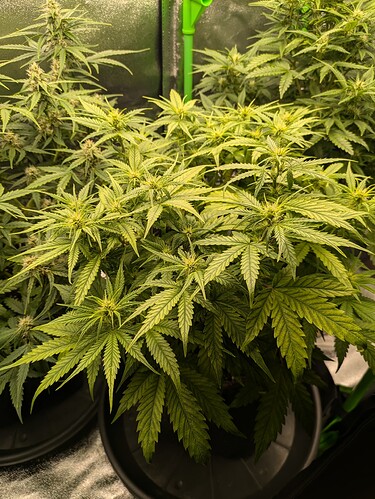 Growreport Bild 21