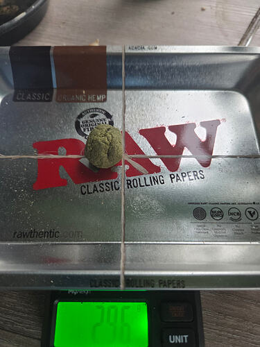Growreport Bild 19