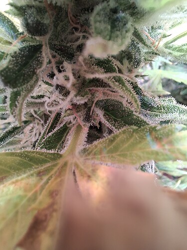 Growreport Bild 21