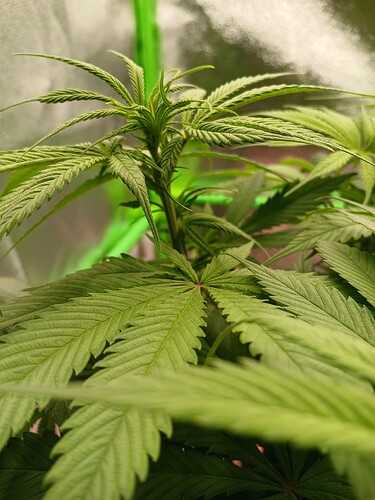 Growreport Bild 18