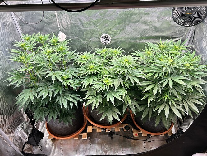 Growreport Bild 22