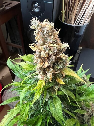 Growreport Bild 10