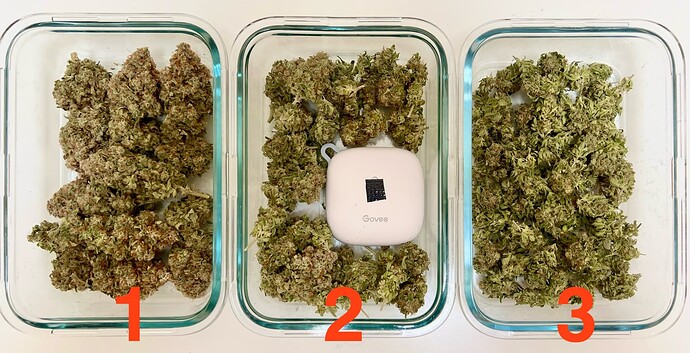 bergrow's Herbstgrow: Haziges Baumarkt-Experiment im Schrank - ABGESCHLOSSEN