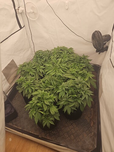 Growreport Bild 7