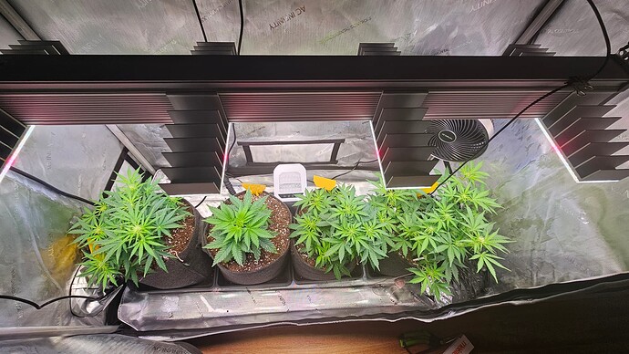 Growreport Bild 26