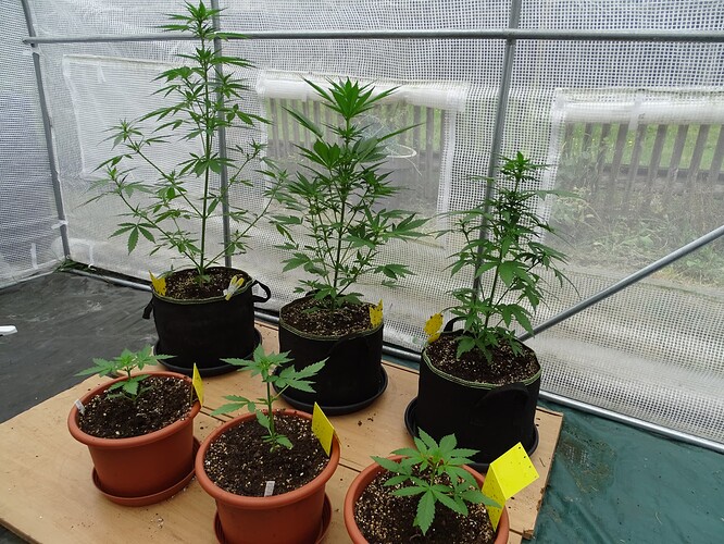 Growreport Bild 10