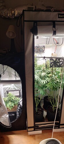 Growreport Bild 1