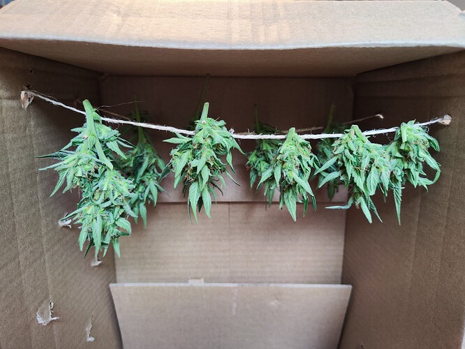 Growreport Bild 1
