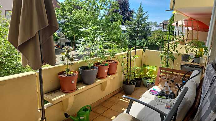 Growreport Bild 21