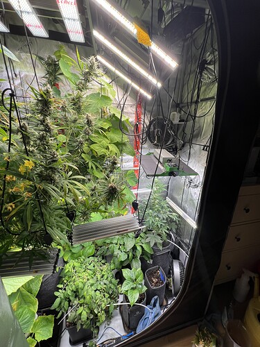 Growreport Bild 10