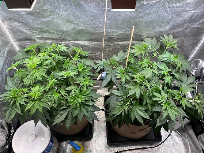 Growreport Bild 6