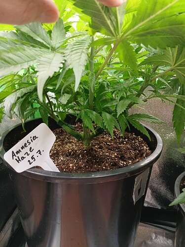 Growreport Bild 23