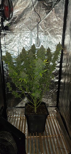 Growreport Bild 18