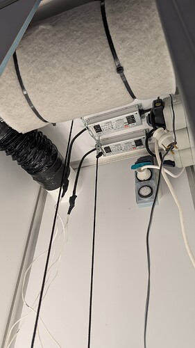 PXL_20250316_105417840.MP