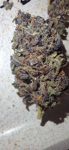 Growreport Bild 10