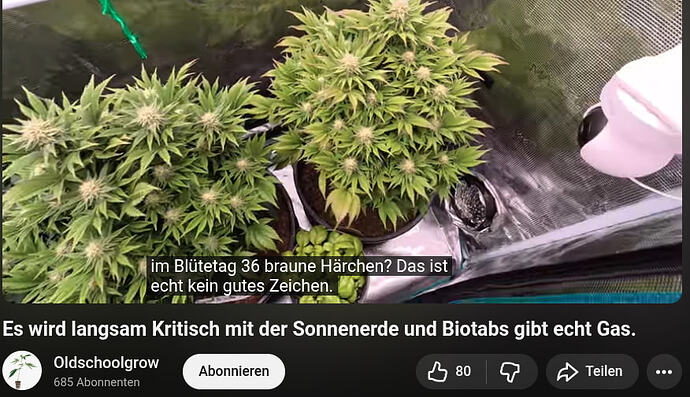 i0rhutir5yü3ä