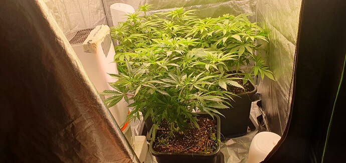 Growreport Bild 4
