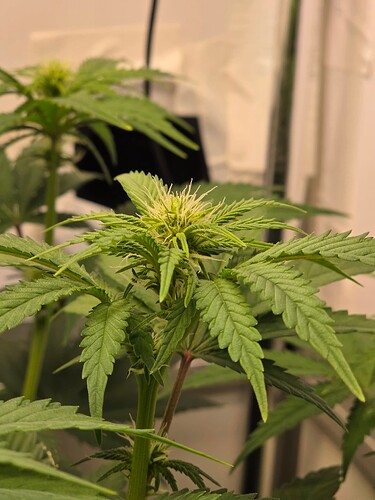 Growreport Bild 11
